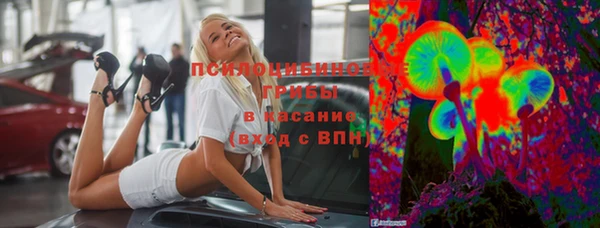 ПСИЛОЦИБИНОВЫЕ ГРИБЫ Лабытнанги