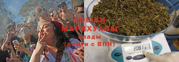 ПСИЛОЦИБИНОВЫЕ ГРИБЫ Лабытнанги
