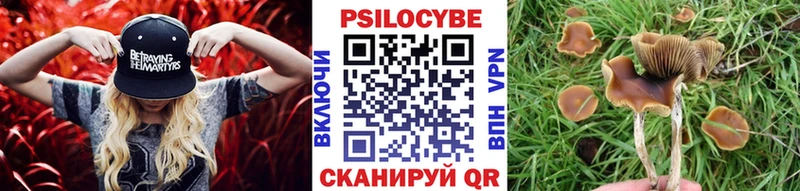 Псилоцибиновые грибы мицелий  OMG зеркало  Новочебоксарск 
